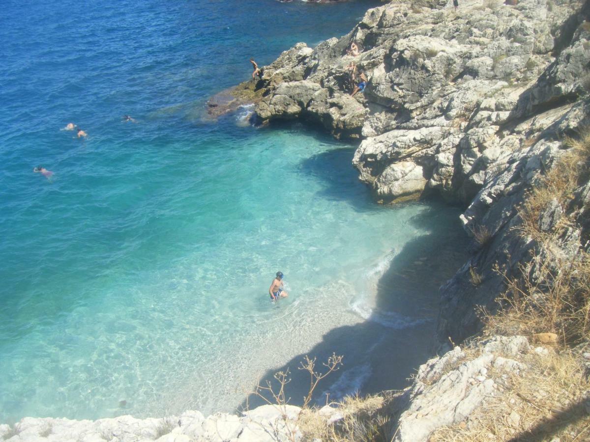 Maui Apartament Alcamo Eksteriør bilde