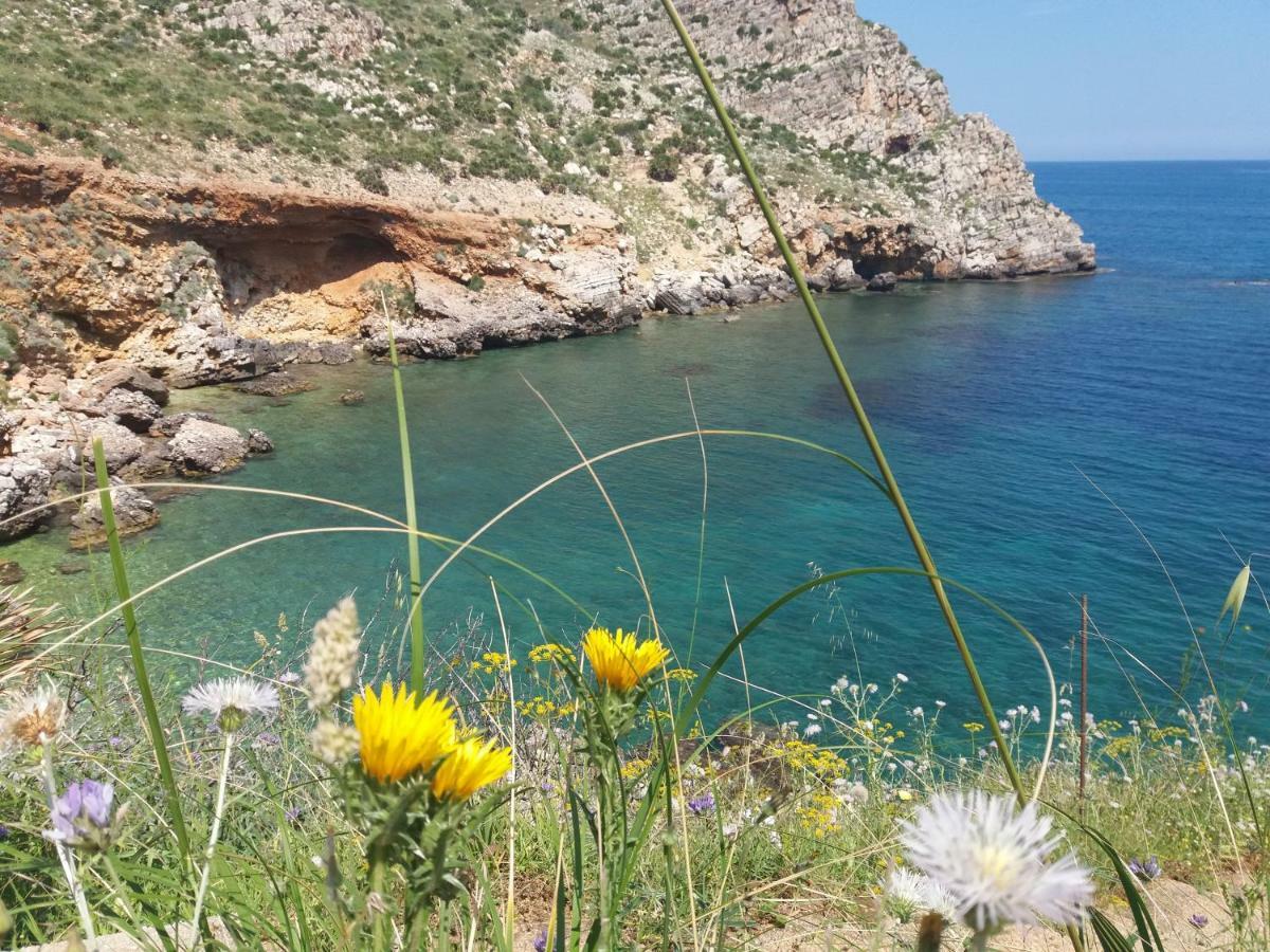Maui Apartament Alcamo Eksteriør bilde